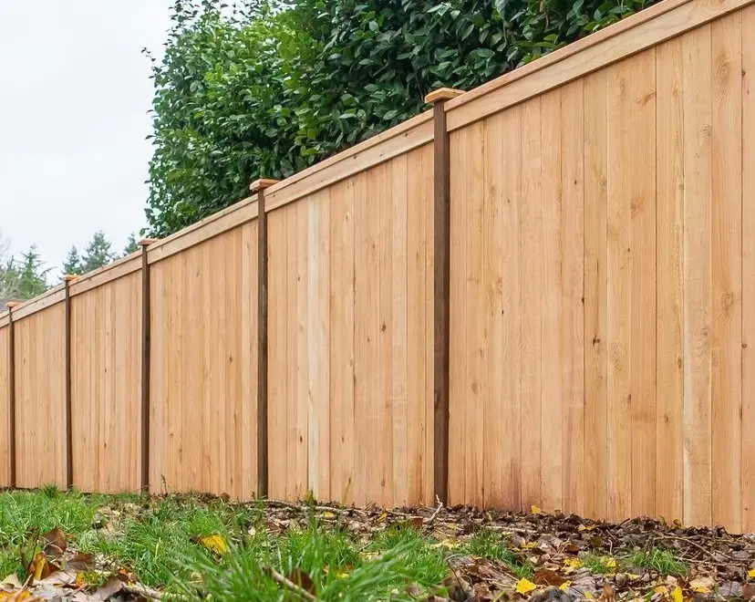 Privacy Cedar Fence Seattle