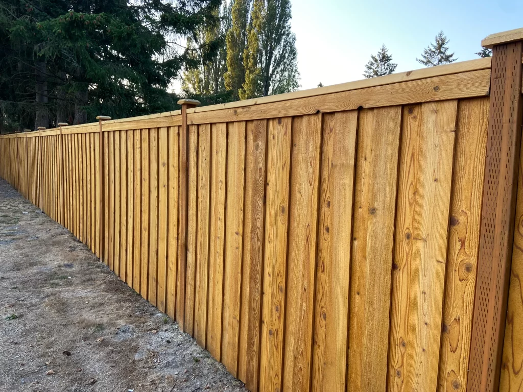 Modern cedar privacy fence design installed in a Seattle backyard