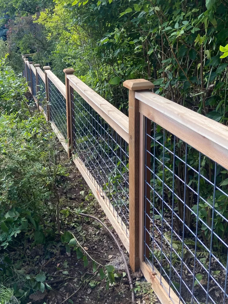 Hogwire fence on Mercer Island