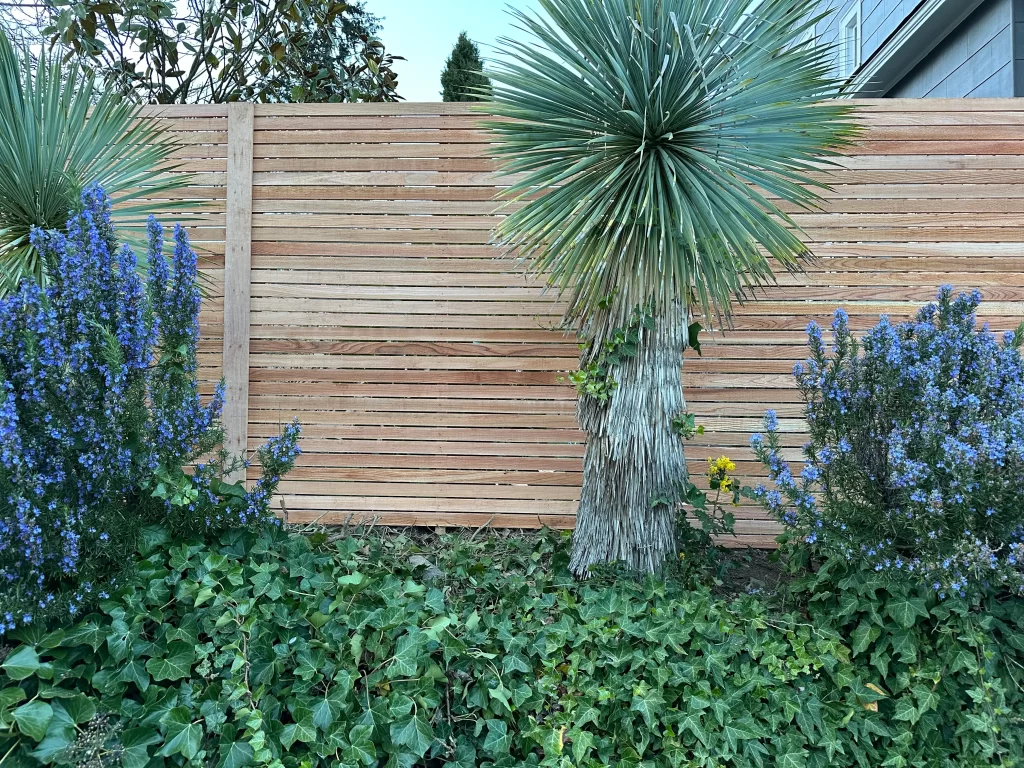 Horizontal Fence Seattle Custom