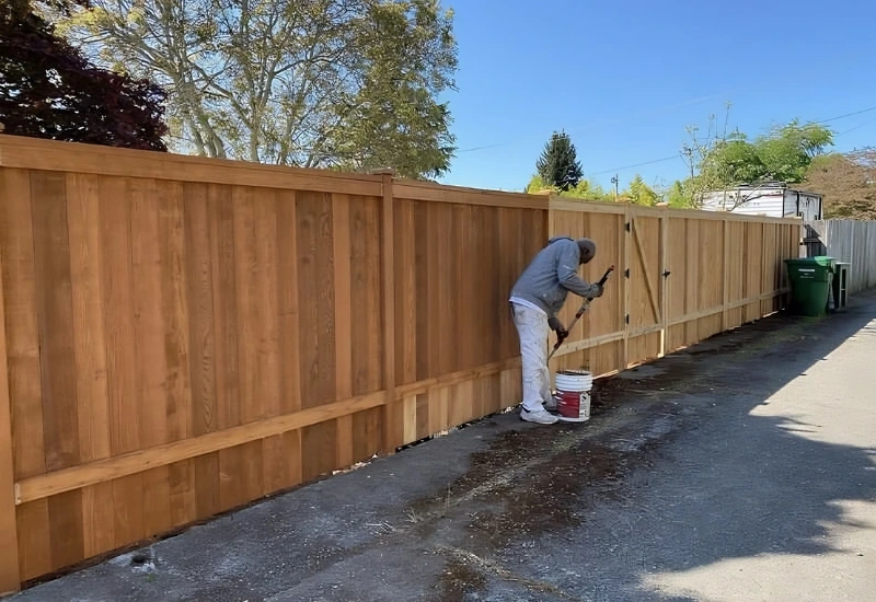 Professional fence staining in Seattle on a new cedar fence
