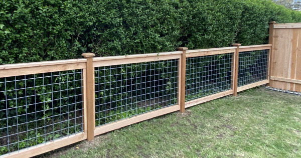 Hogwire fence with cedar frame and welded wire mesh in Seattle backyard