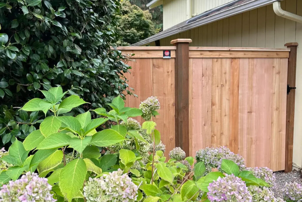 Cedar privacy fence with gate installed in Seattle residential yard