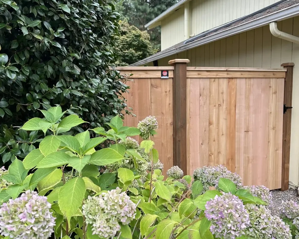 Cedar fence installed in a residential backyard in Bellevue, WA